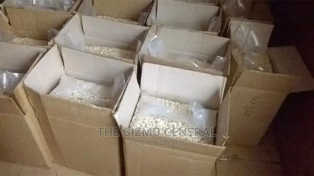 Processed Cashew Nut - Grade W320 W240 in Tonnes(1000kg)
