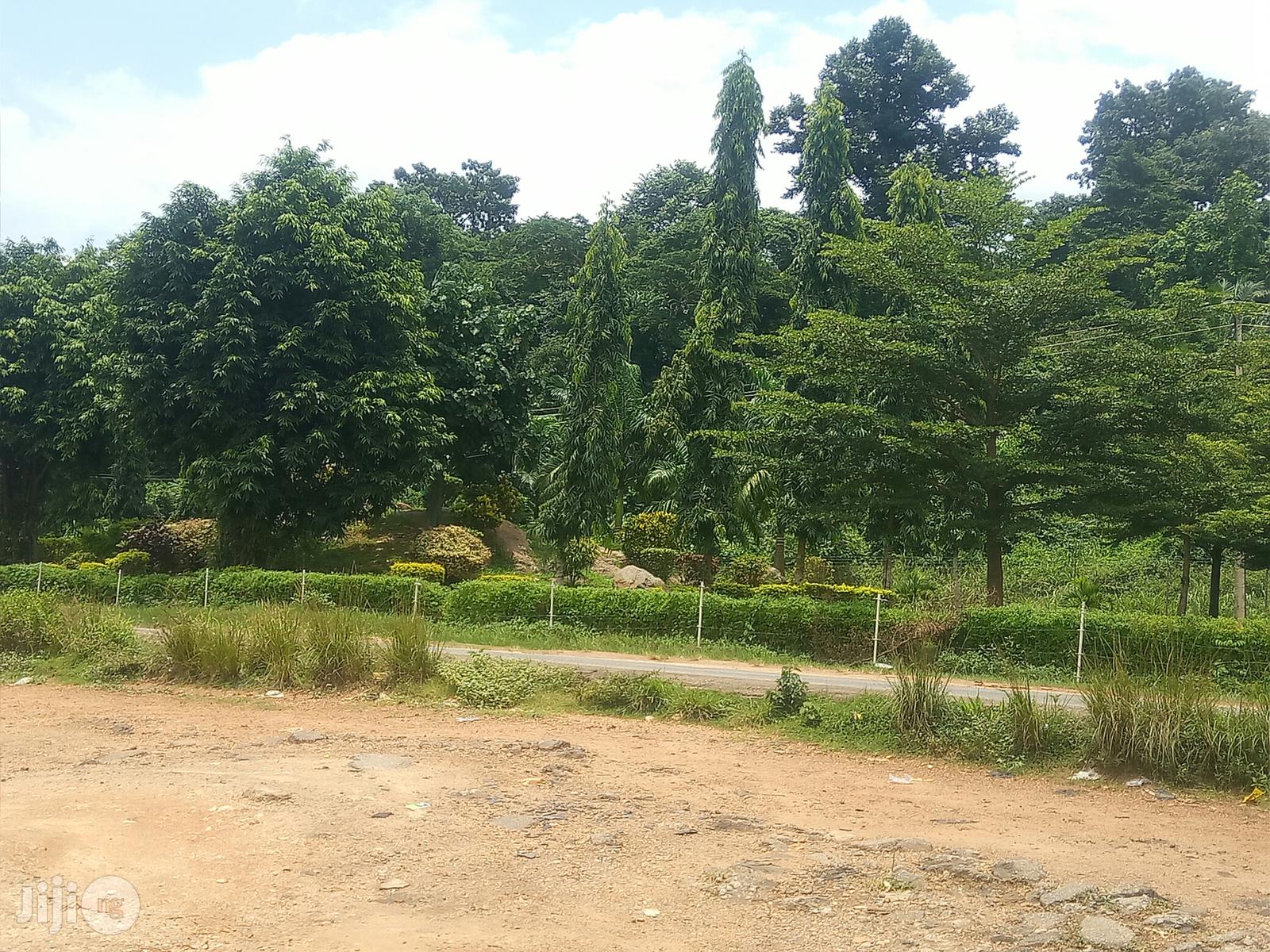 Land Measuring 1000sm Opposite IITA Ibadan