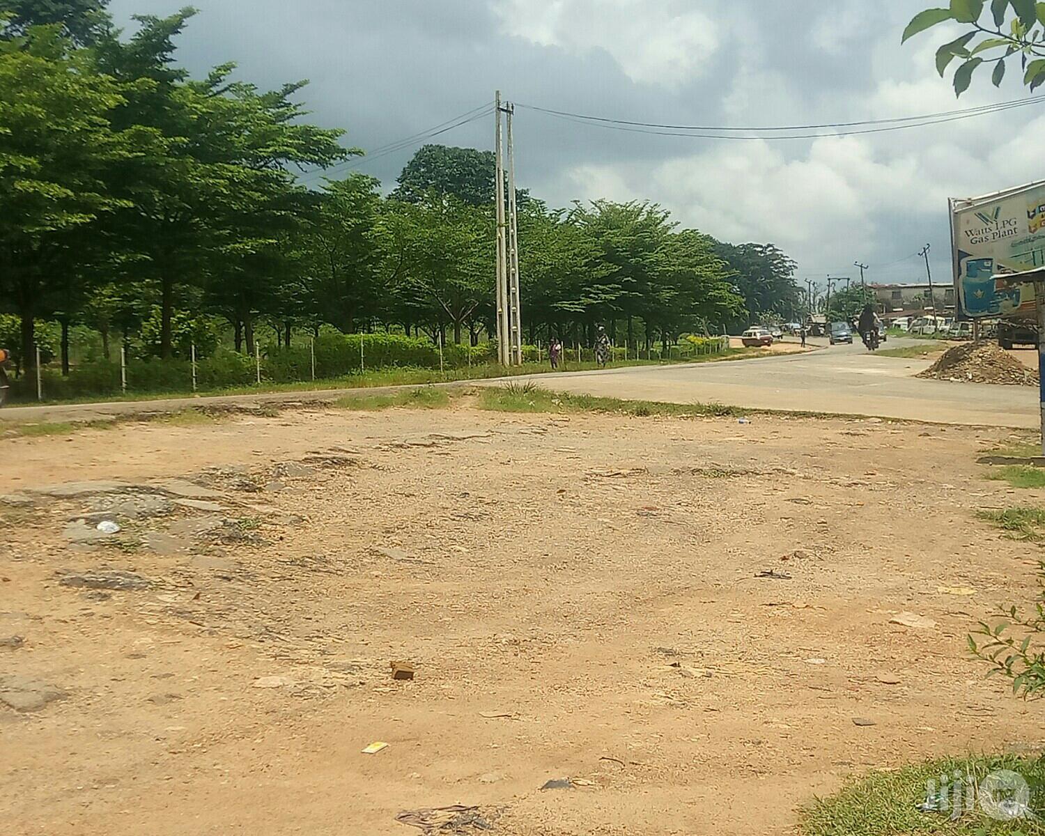 Land Measuring 1000sm Opposite IITA Ibadan