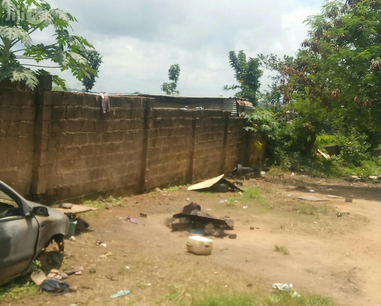 Land Measuring 1000sm Opposite IITA Ibadan