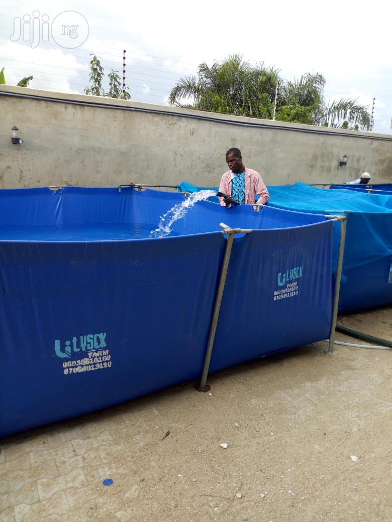 Fish Pond Pvc