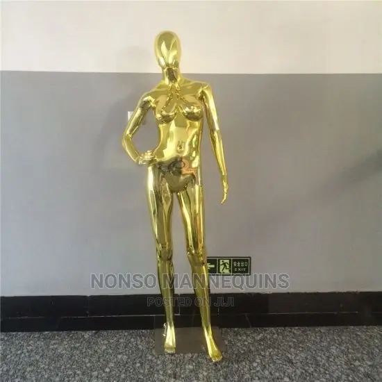 Gold And Silver Male And Female Mannequin Available