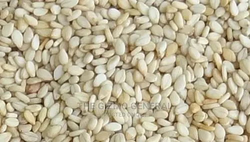 Natural Sesame Seeds In Tonnes