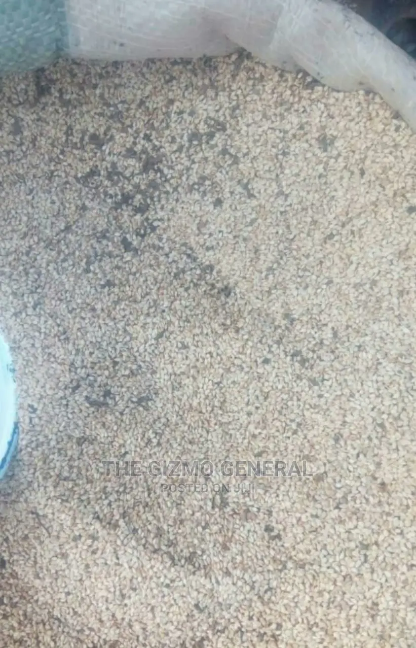 Natural Sesame Seeds In Tonnes