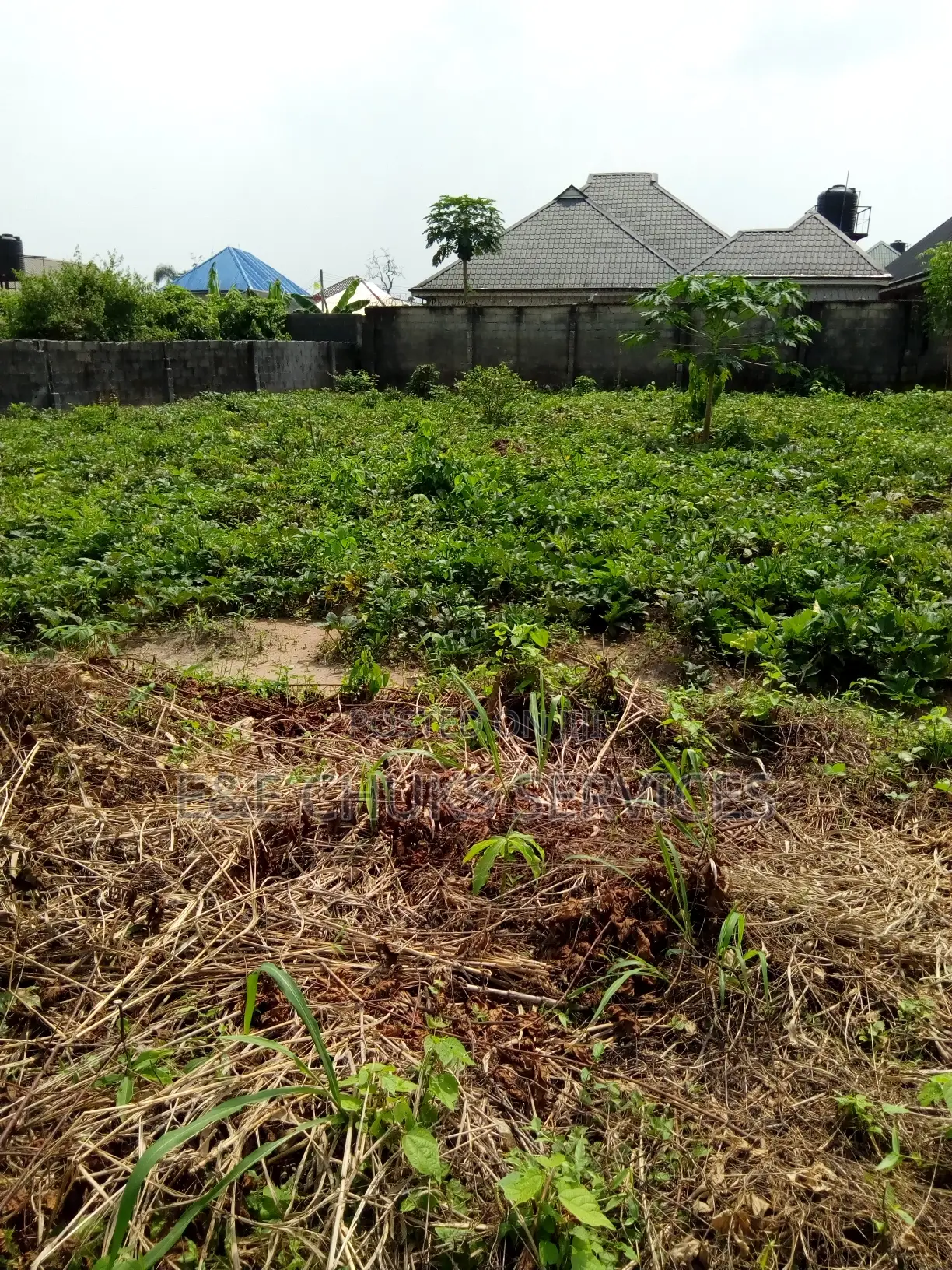 Plot of Land for Sale in Atali Love Avenue Rivers