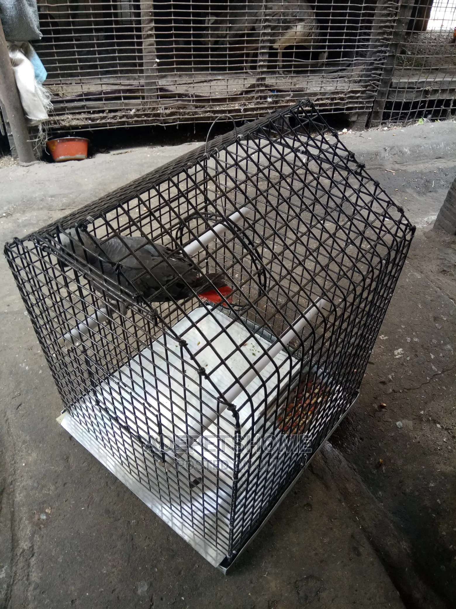 Cages For Sale