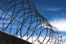 Electric Perimeter Fencing System