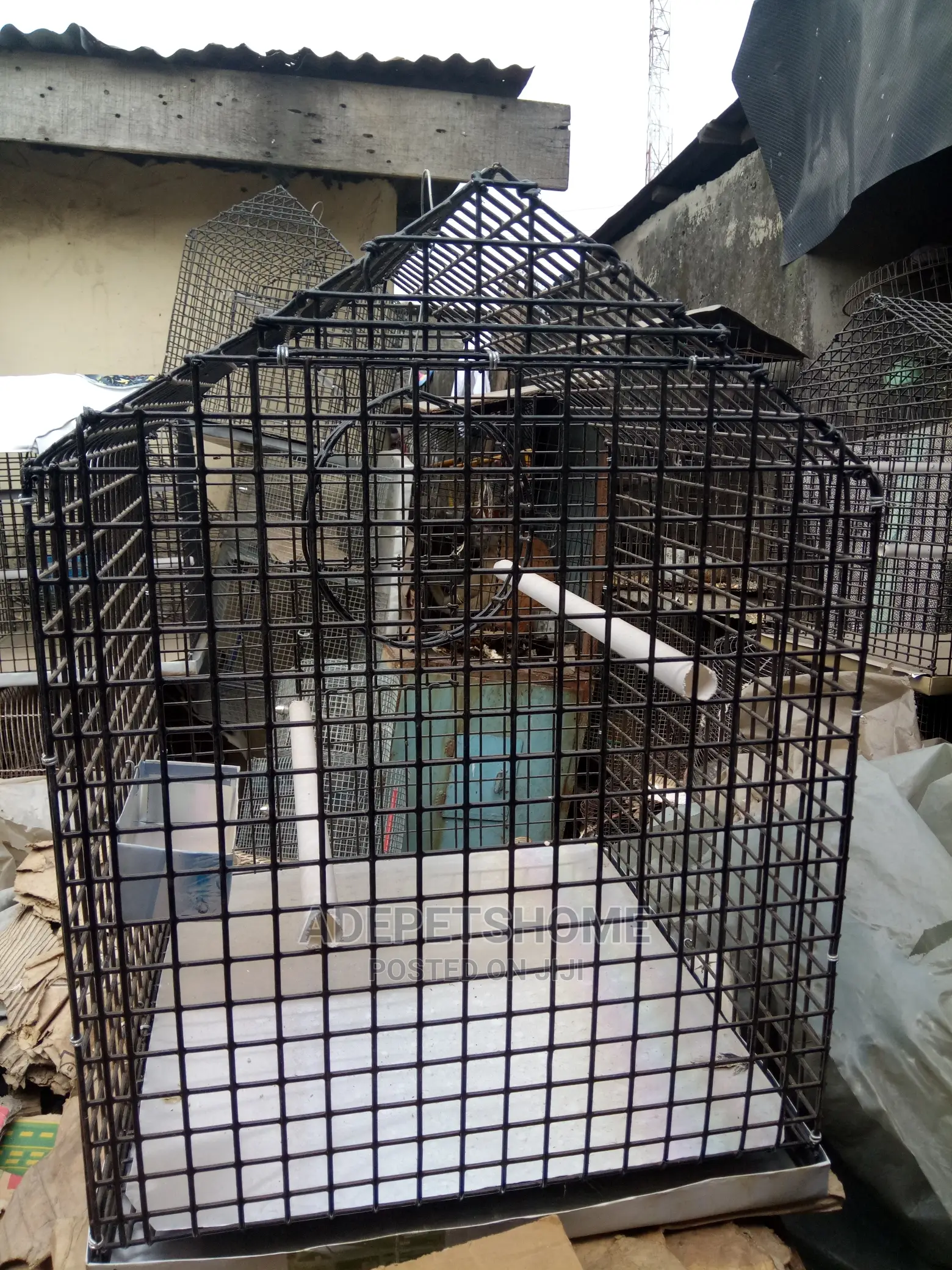 Parrot Cages For Sale