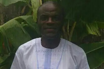 Farm Business Consultancy