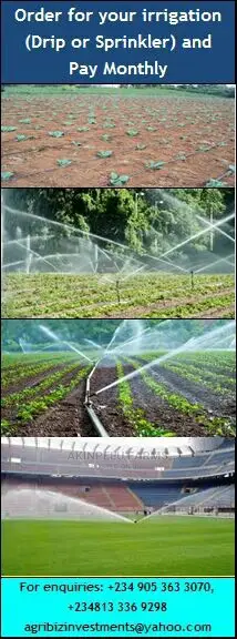 Farm Management Services(Big & Small Farms)
