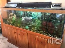Aquarium Designs And Installations