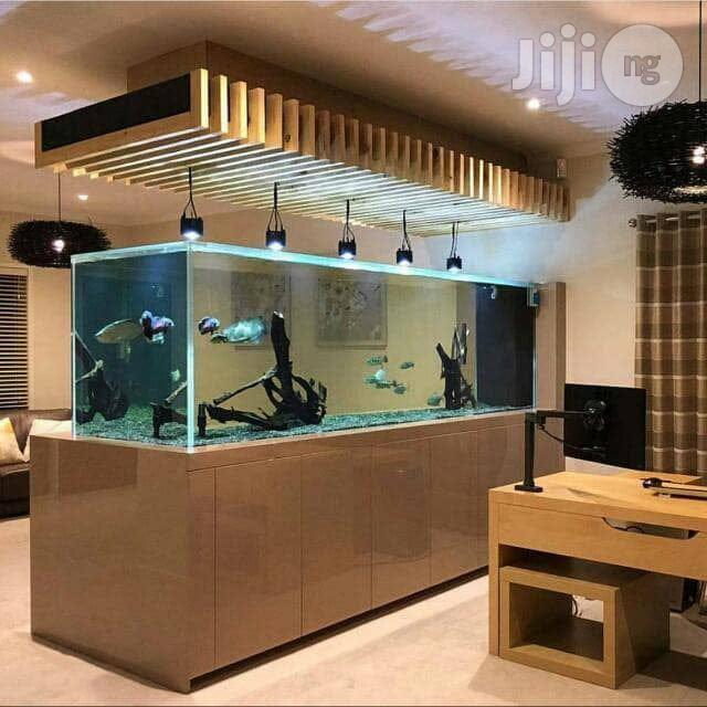 Aquariums, Water Falls, Wall Bubbles Construction And Maintenance