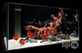 Aquariums, Water Falls, Pools, Wall Bubbles