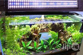 Aquariums, Water Falls, Pools, Wall Bubbles