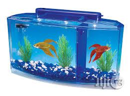 Portable Aquariums