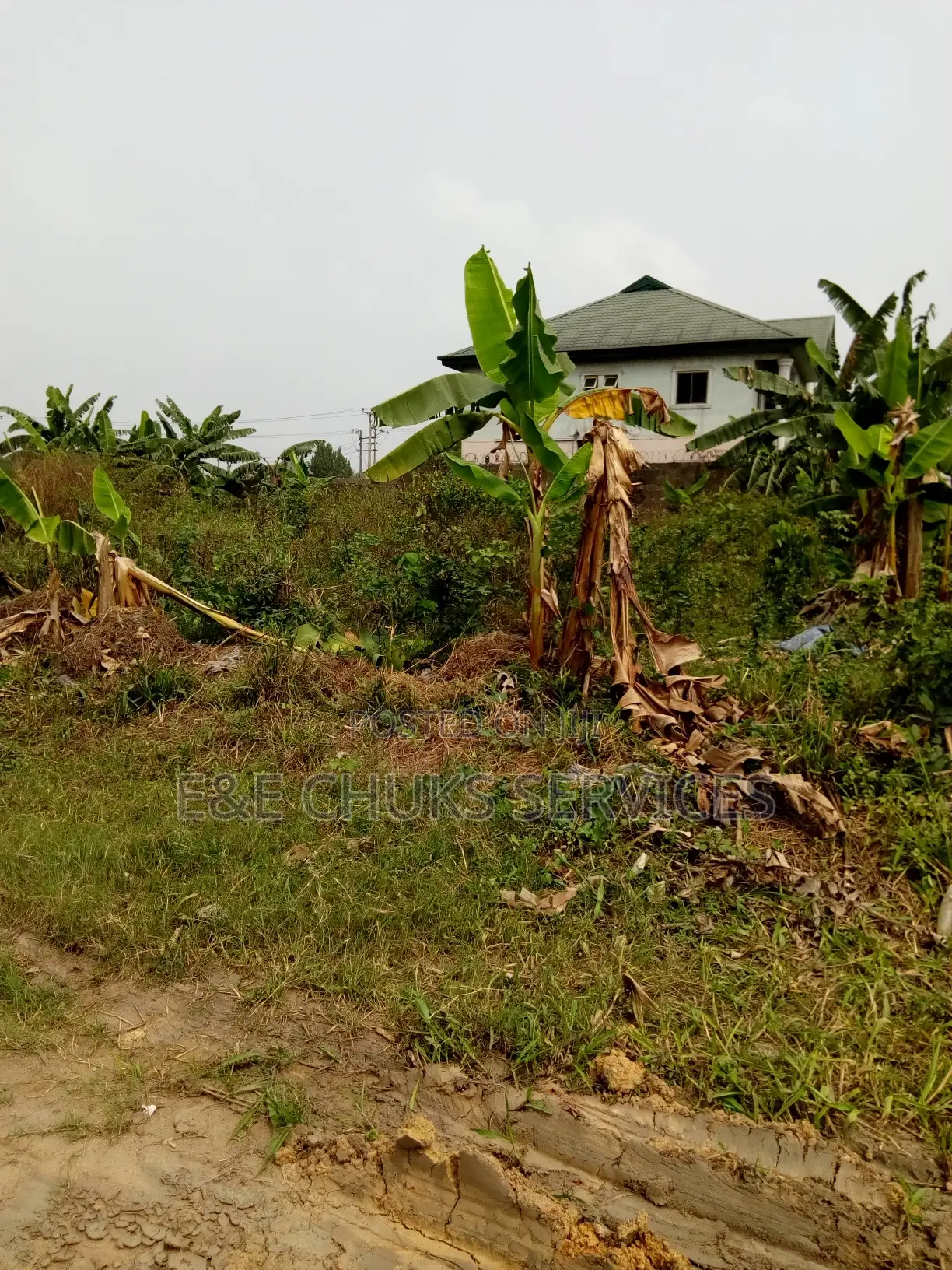 A Plot of Land at Shell Cooperative by Eliozu/Eneka Road