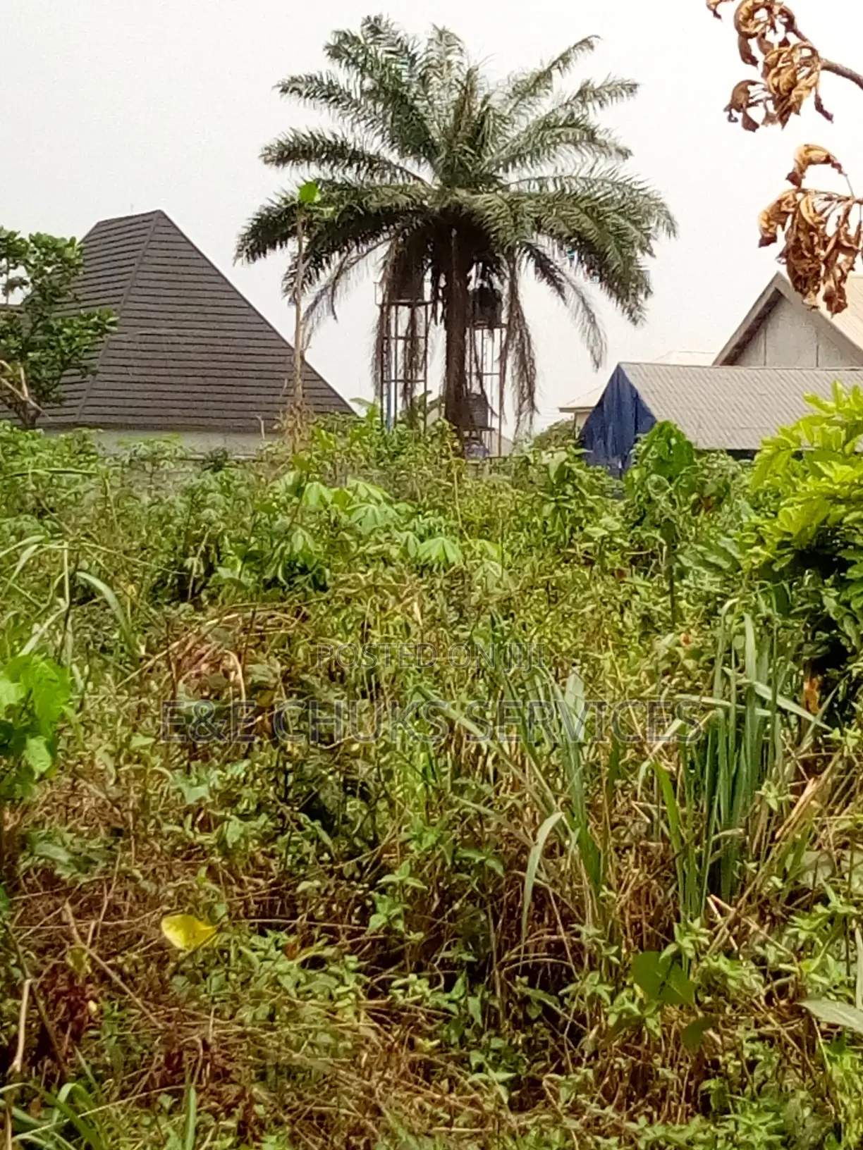 A Plot of Land at Rumukwurushi,Igbo Etche Road