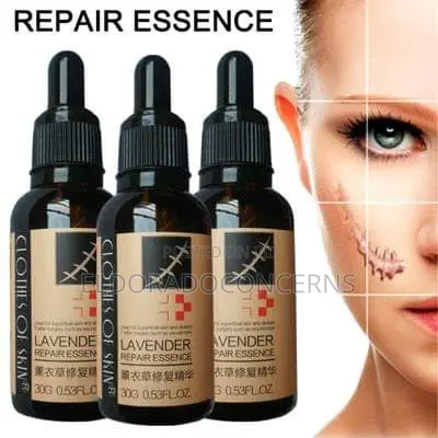 Original Lavender( Wholesale of 20+ Price)
