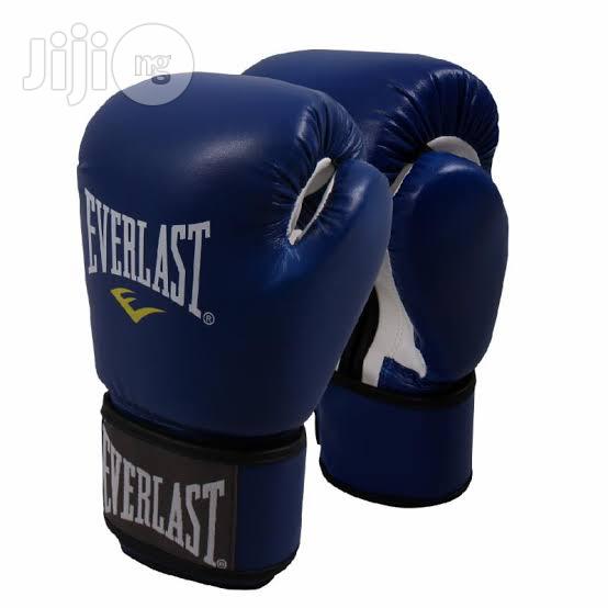 Everlast Boxing Glove