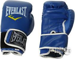 Everlast Boxing Glove