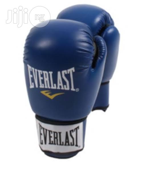 Everlast Boxing Glove