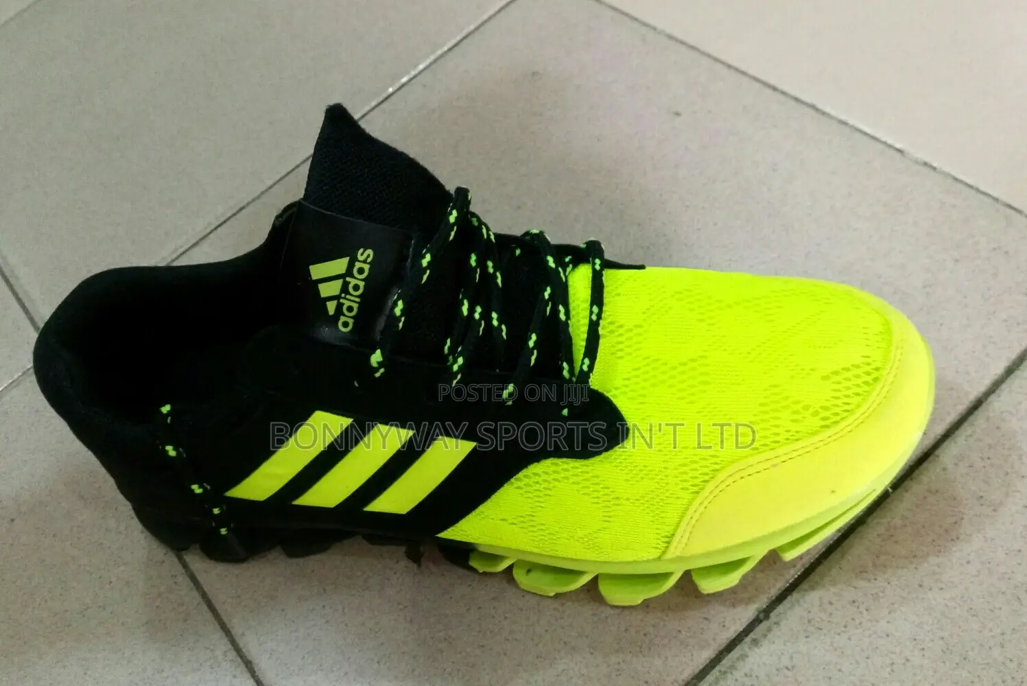 Adidas Canvas