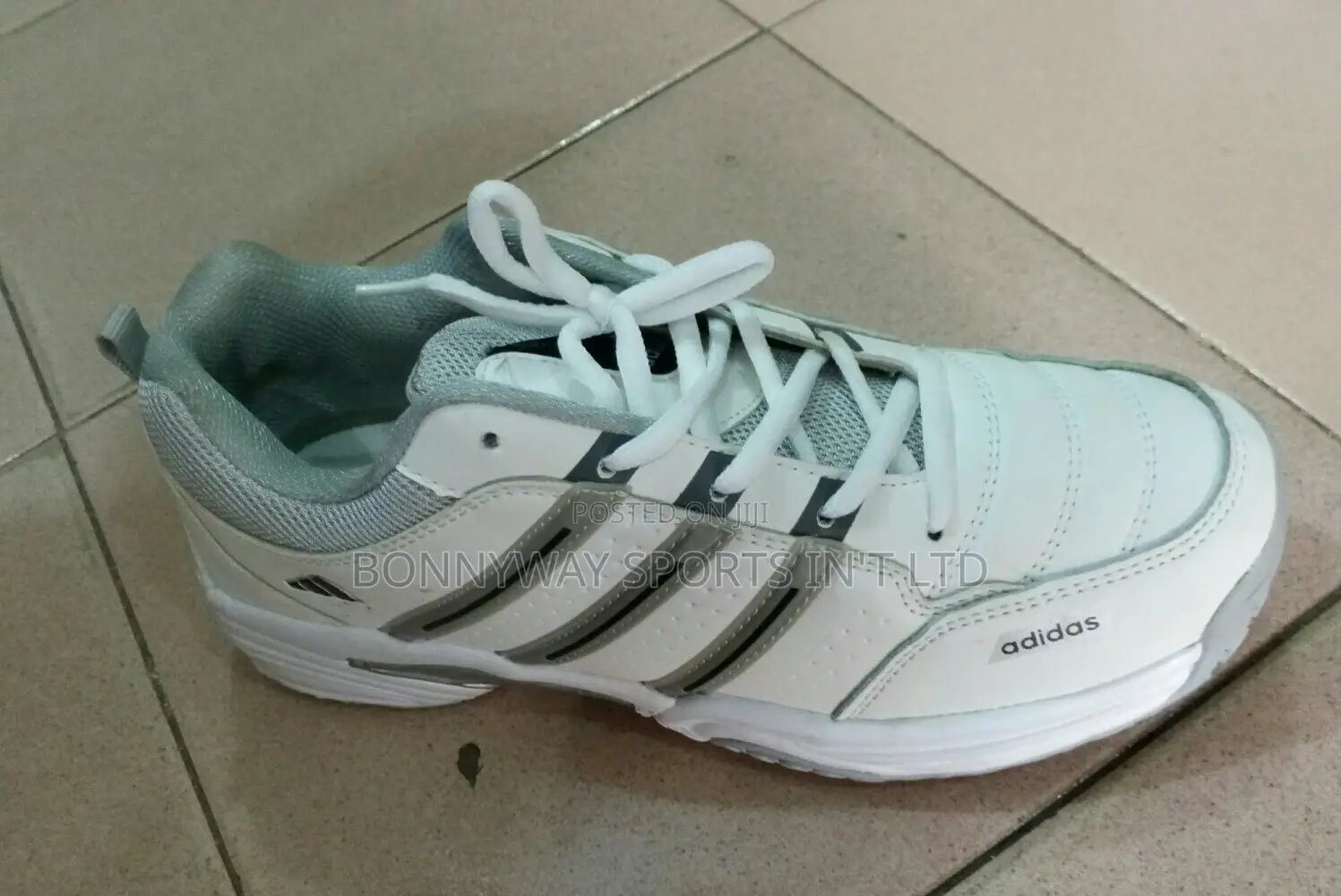 Adidas Canvas