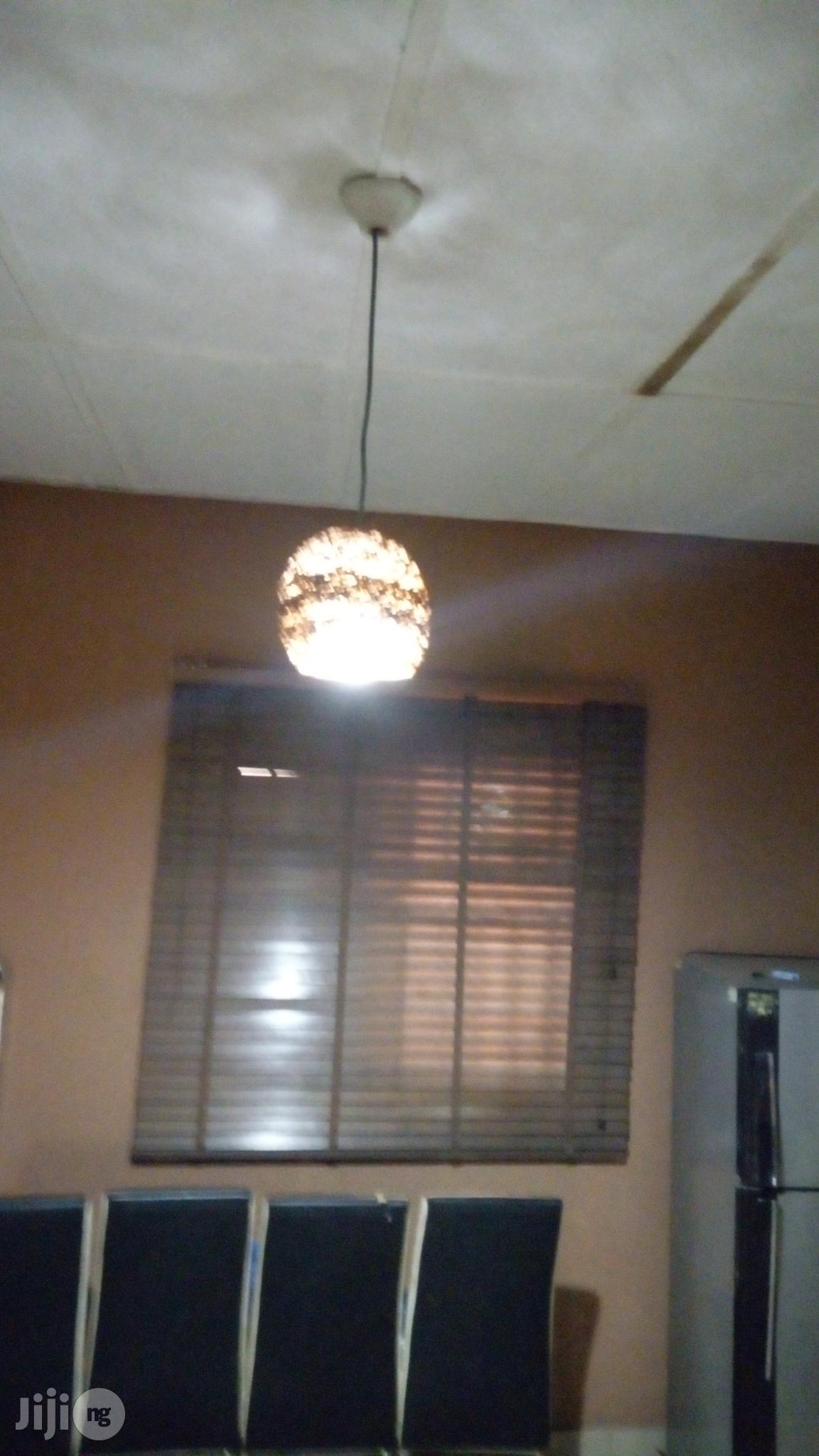 Unique Handcraft Pendent Light Is Available