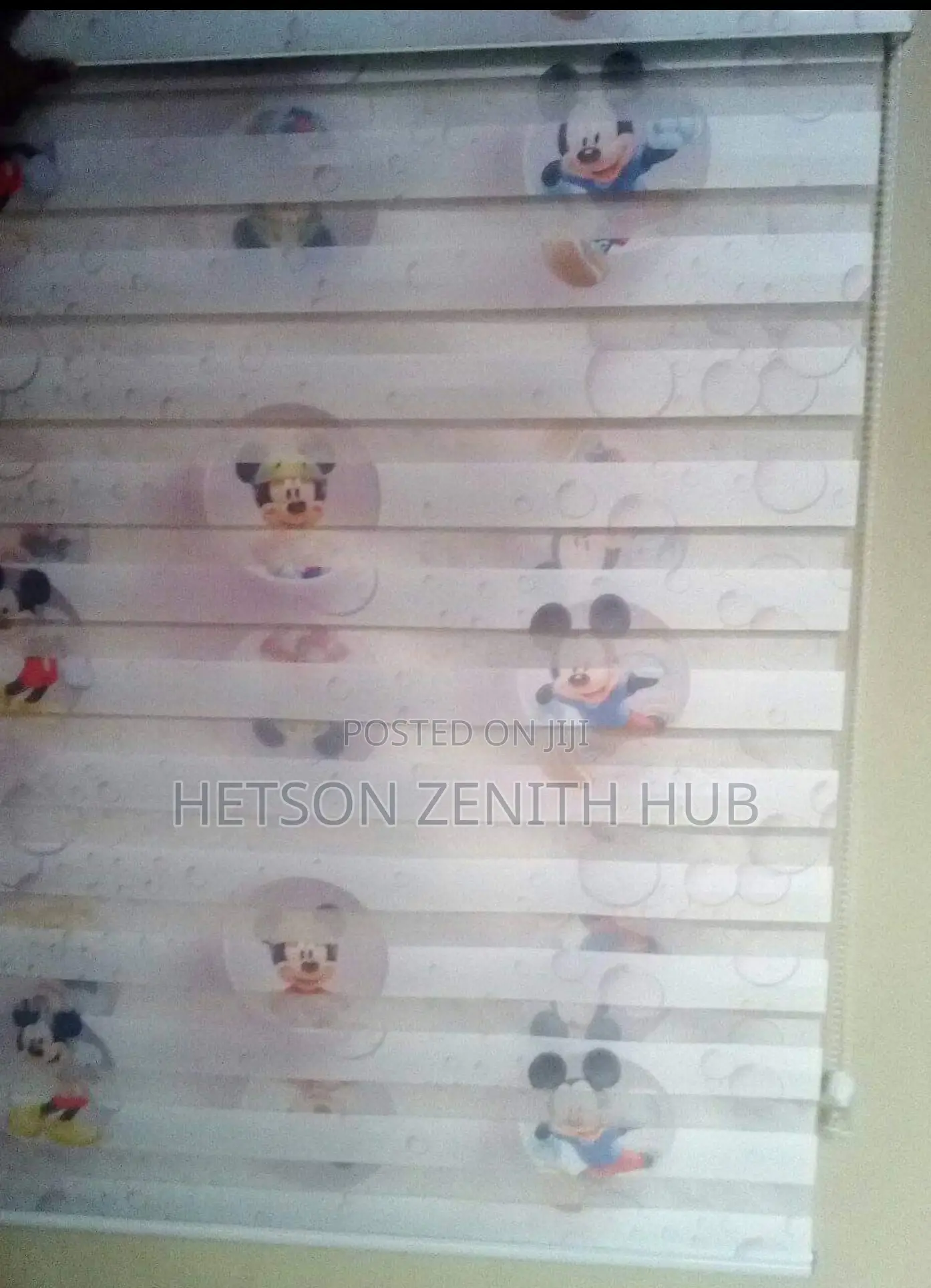 Beautiful Windows Blinds