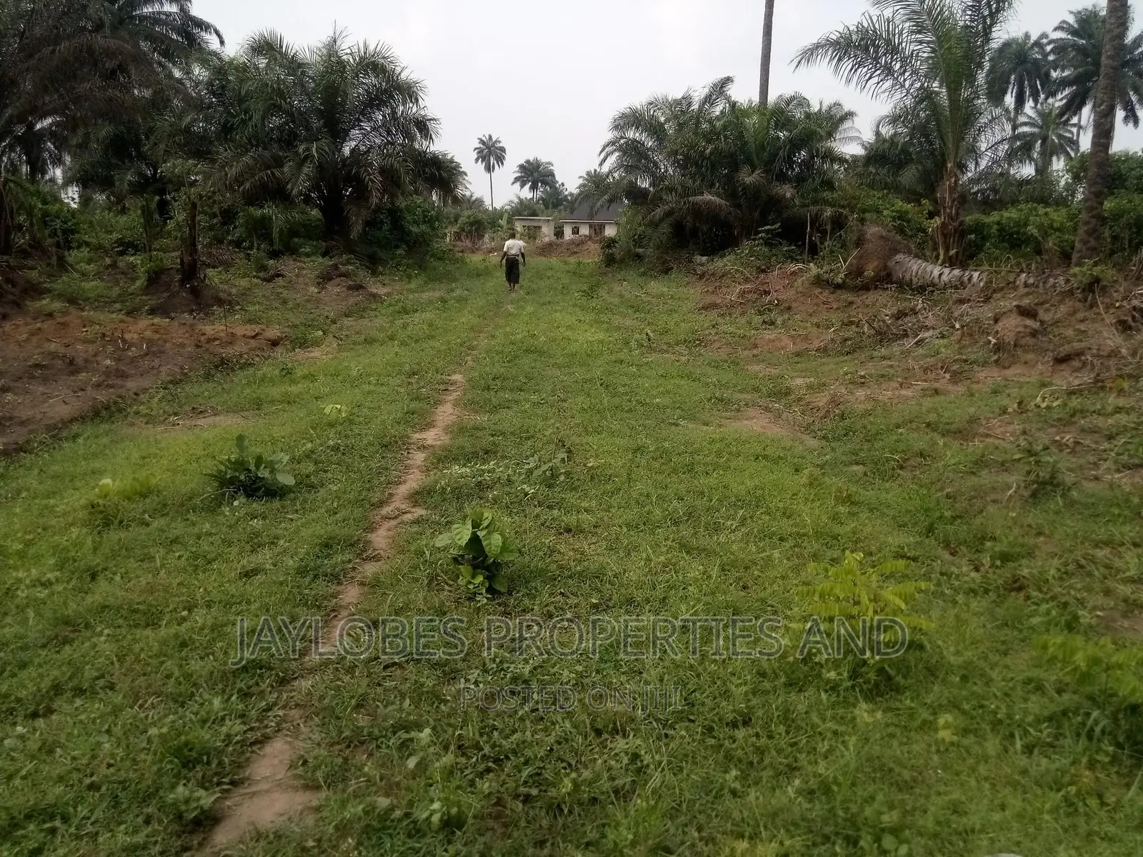 2 Plots of Land at Umuazu, Igbo-Etche, Ph, for Sale
