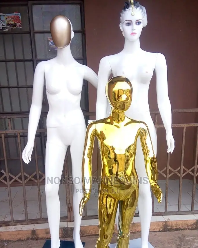 Abstract Kid Gold Chrome Male and Female Display Mannqui