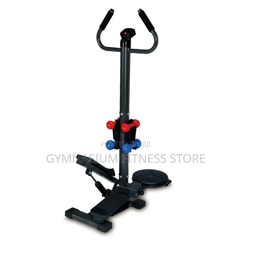 Standing Stepper With Handle, Dumbbell And Twister 7007