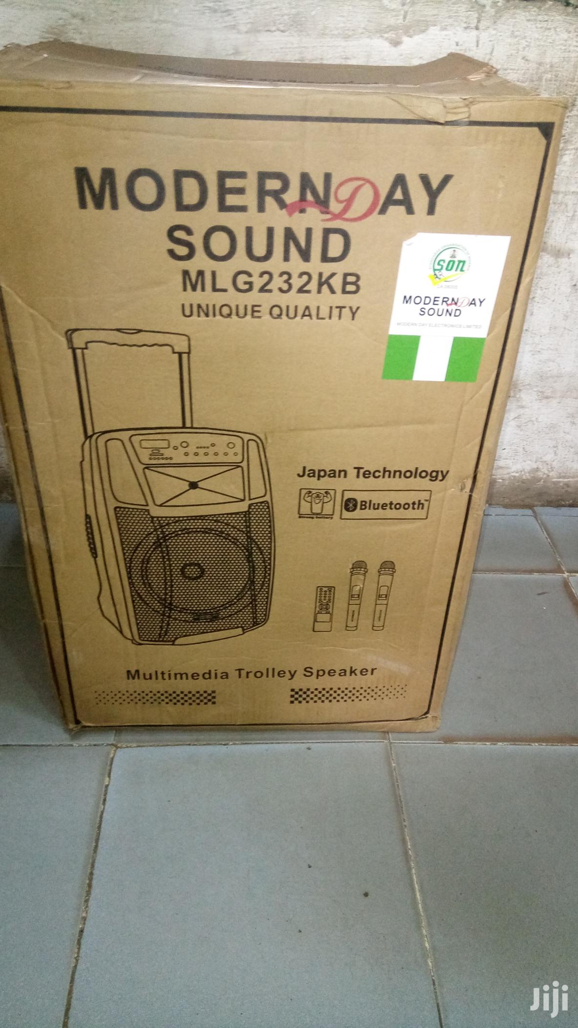 Rechargeable Wireless Speaker With Microphones