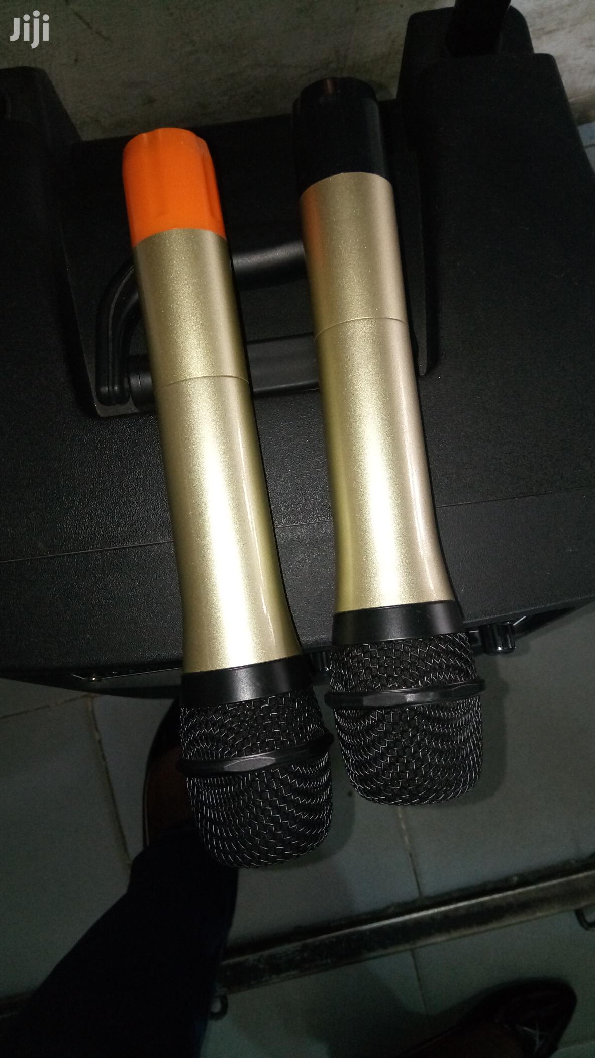 Rechargeable Wireless Speaker With Microphones