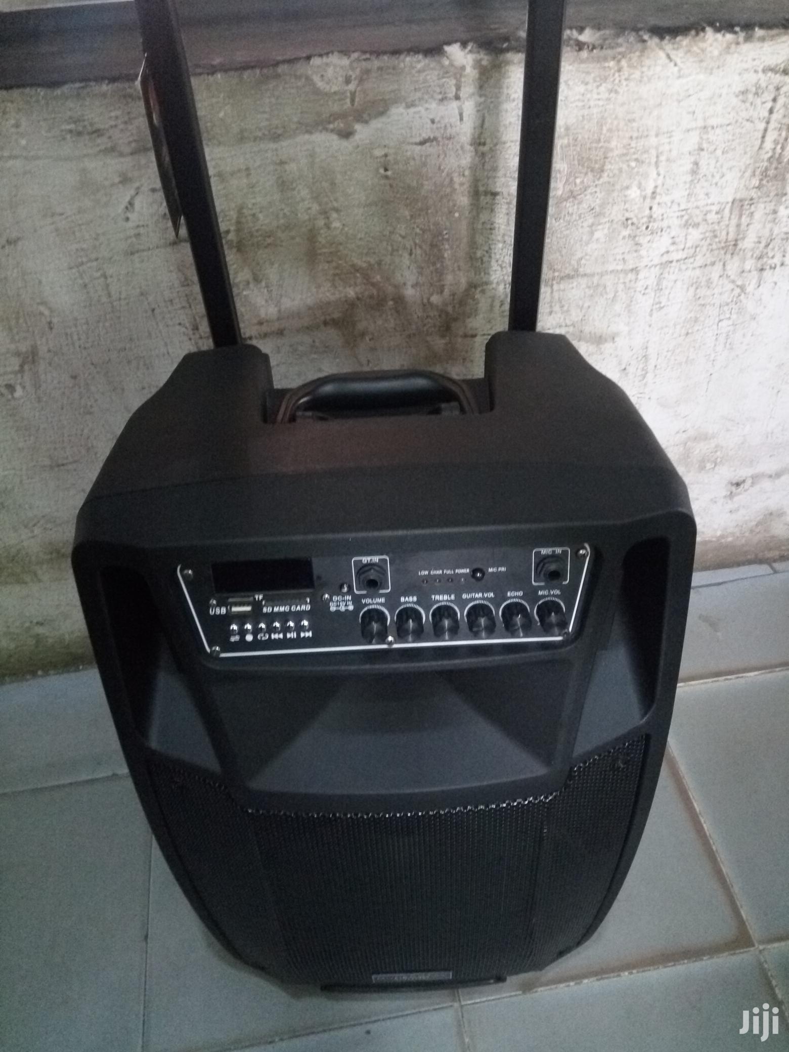 Rechargeable Wireless Speaker With Microphones