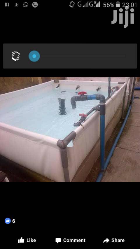 Fish Pond Construction