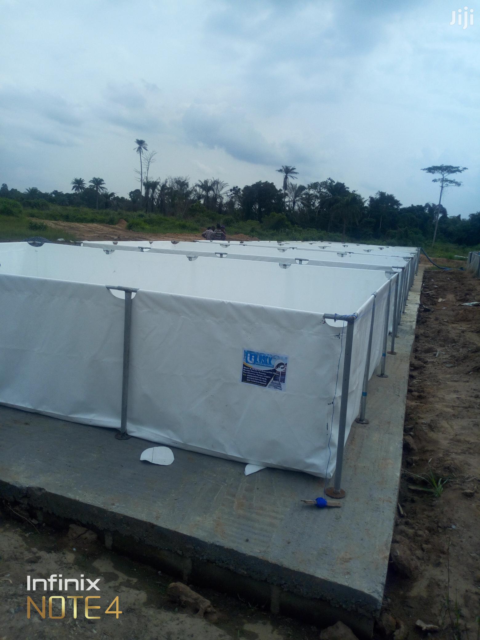 Fish Pond Farming