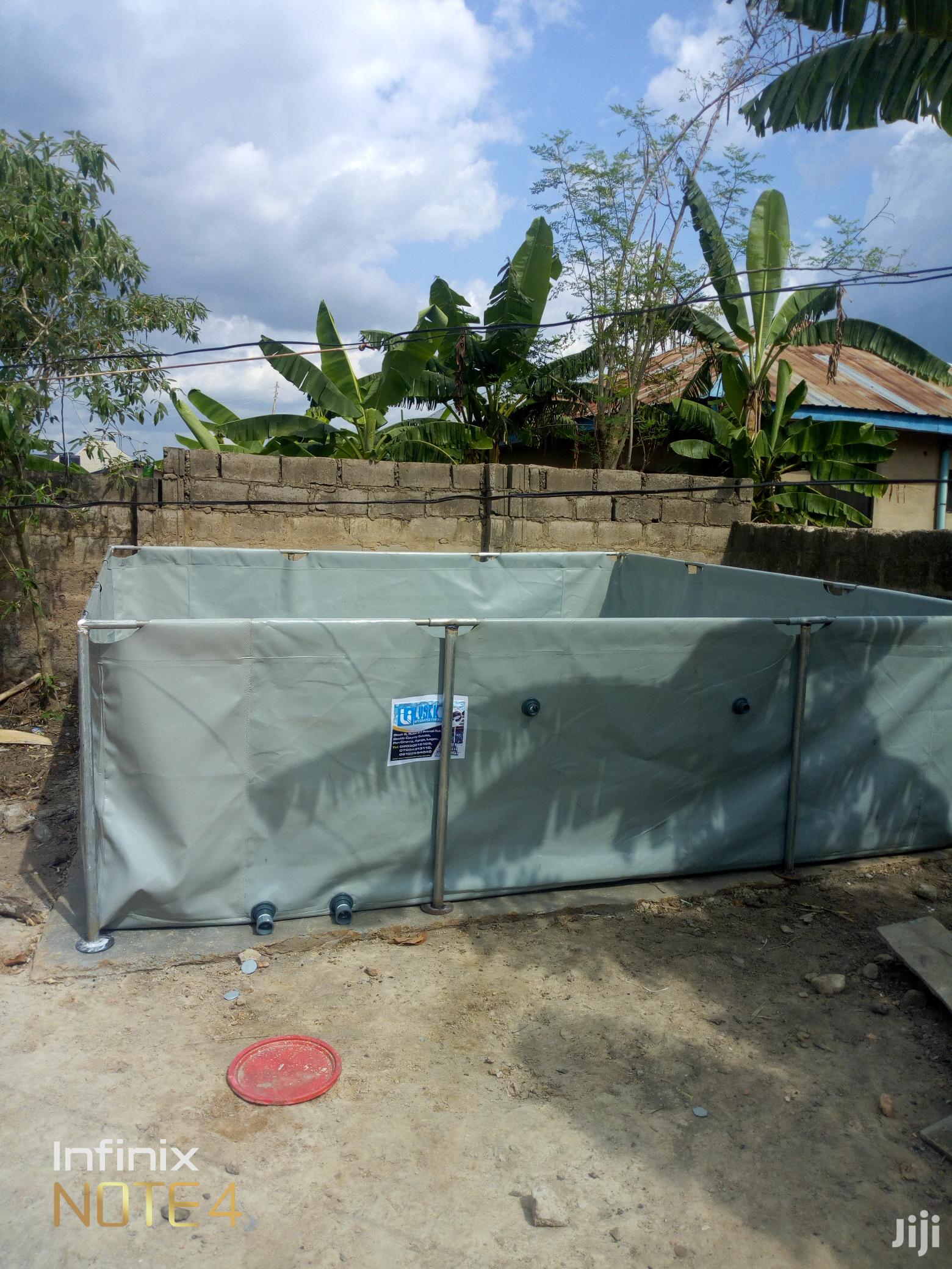 Fish Pond Farming