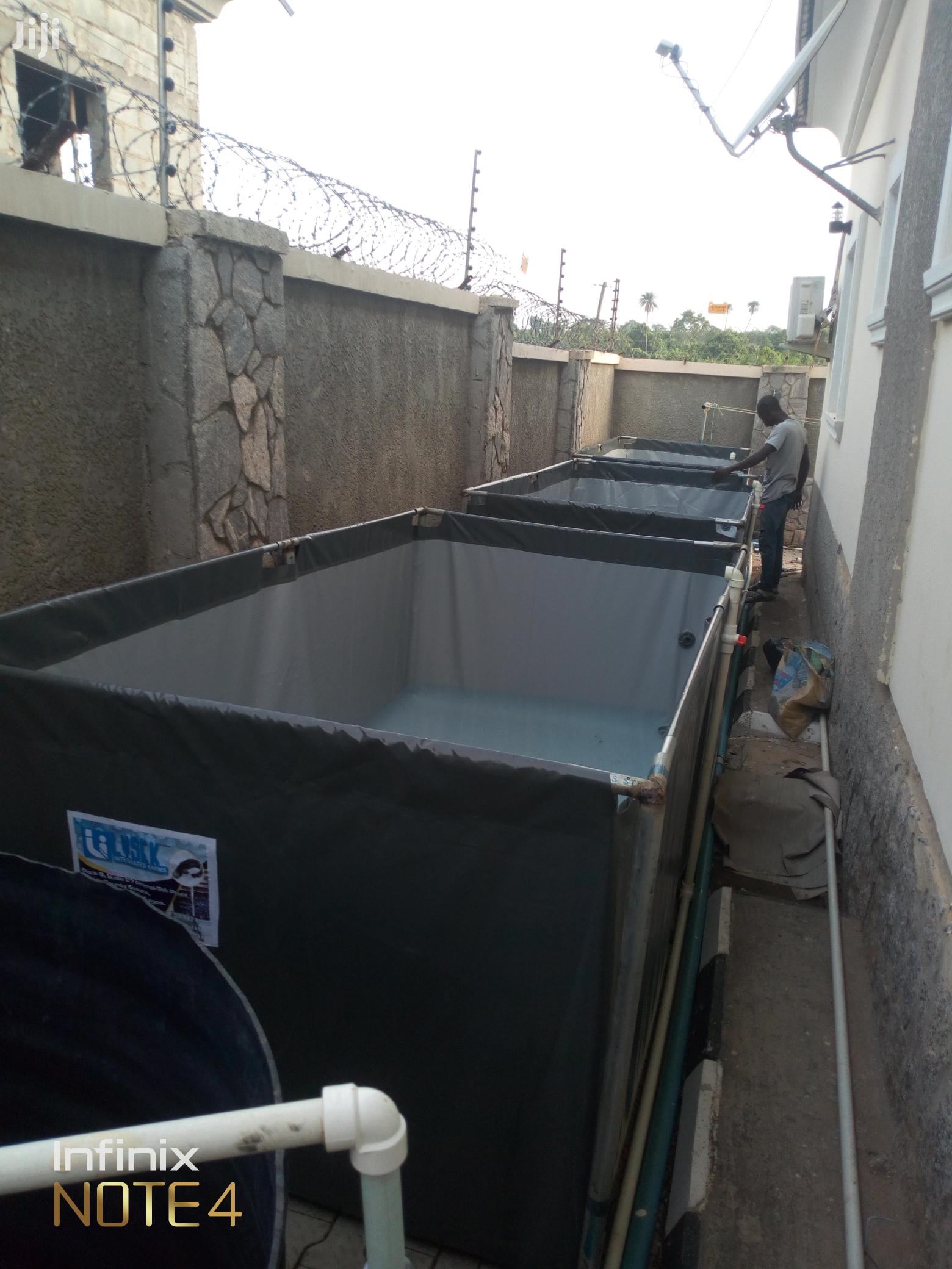 Fish Pond Farming