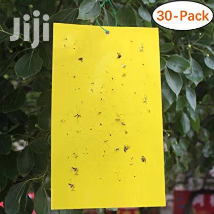 Traps For Insects In Stock