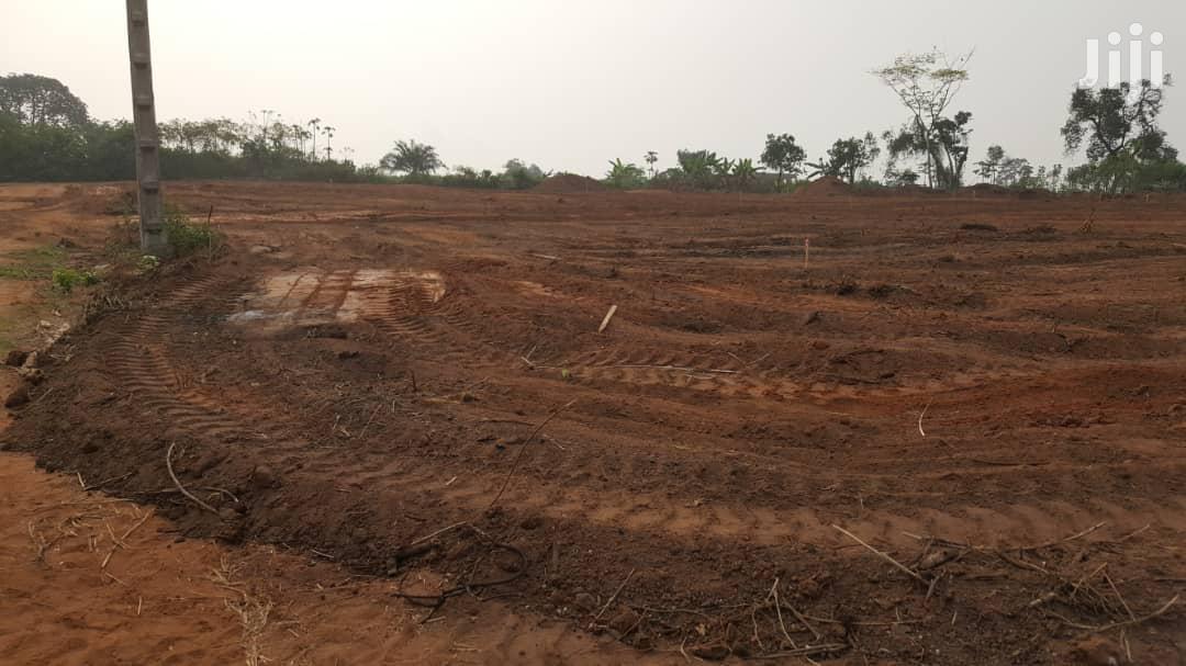 Land Clearing Contractor in Nigeria - HEAVIDUTY