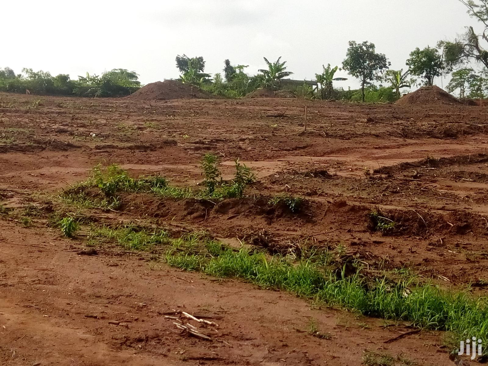 Land Clearing Contractor in Nigeria - HEAVIDUTY