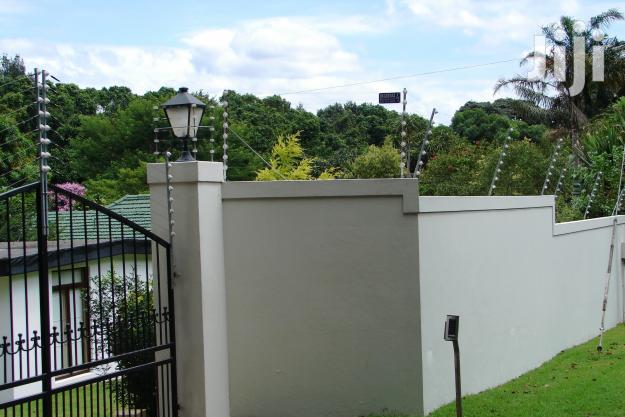 Electric Perimeter Fence