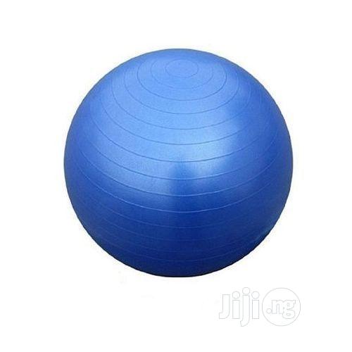 Anti-burst Fitness Exercise Stability And Yoga Ball (65cm)