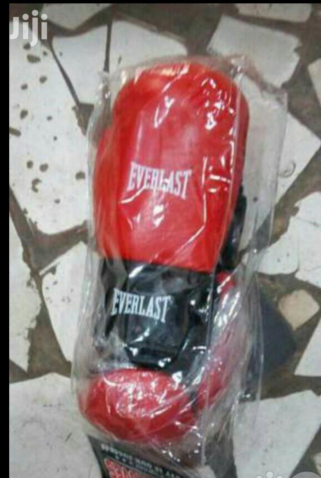 Boxing Gloves Everlast