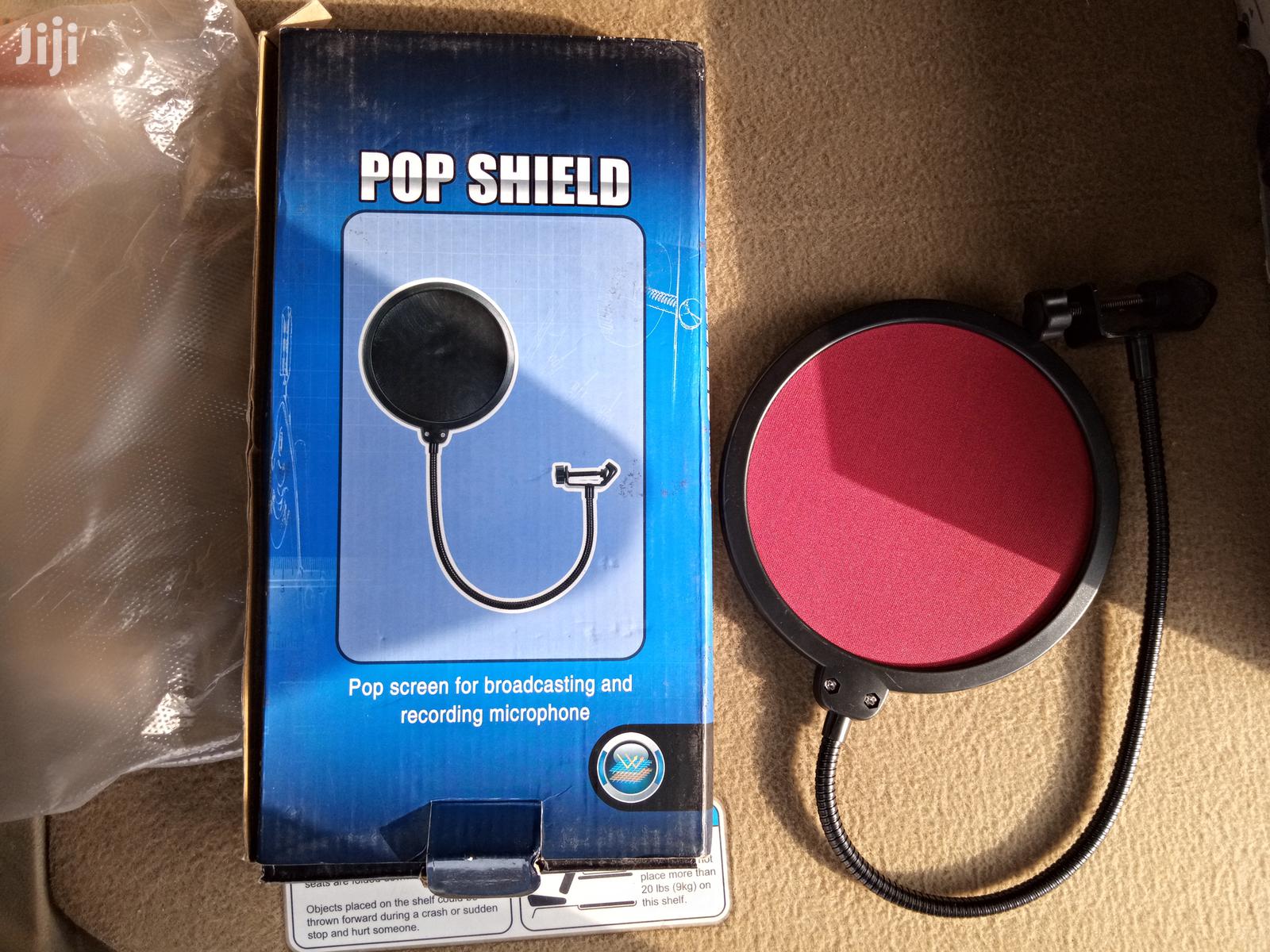 Pop Filters for Microphones