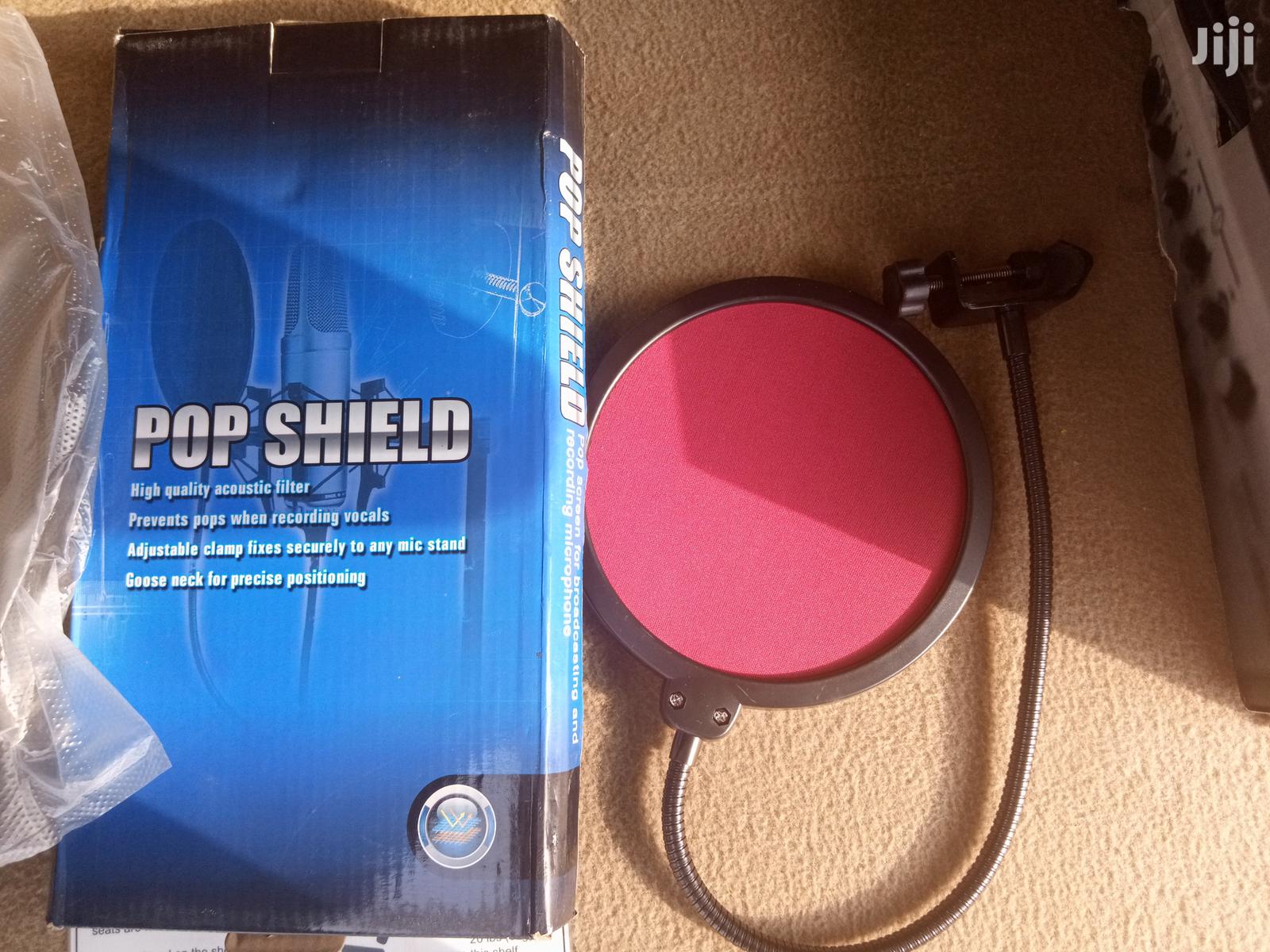 Pop Filters for Microphones