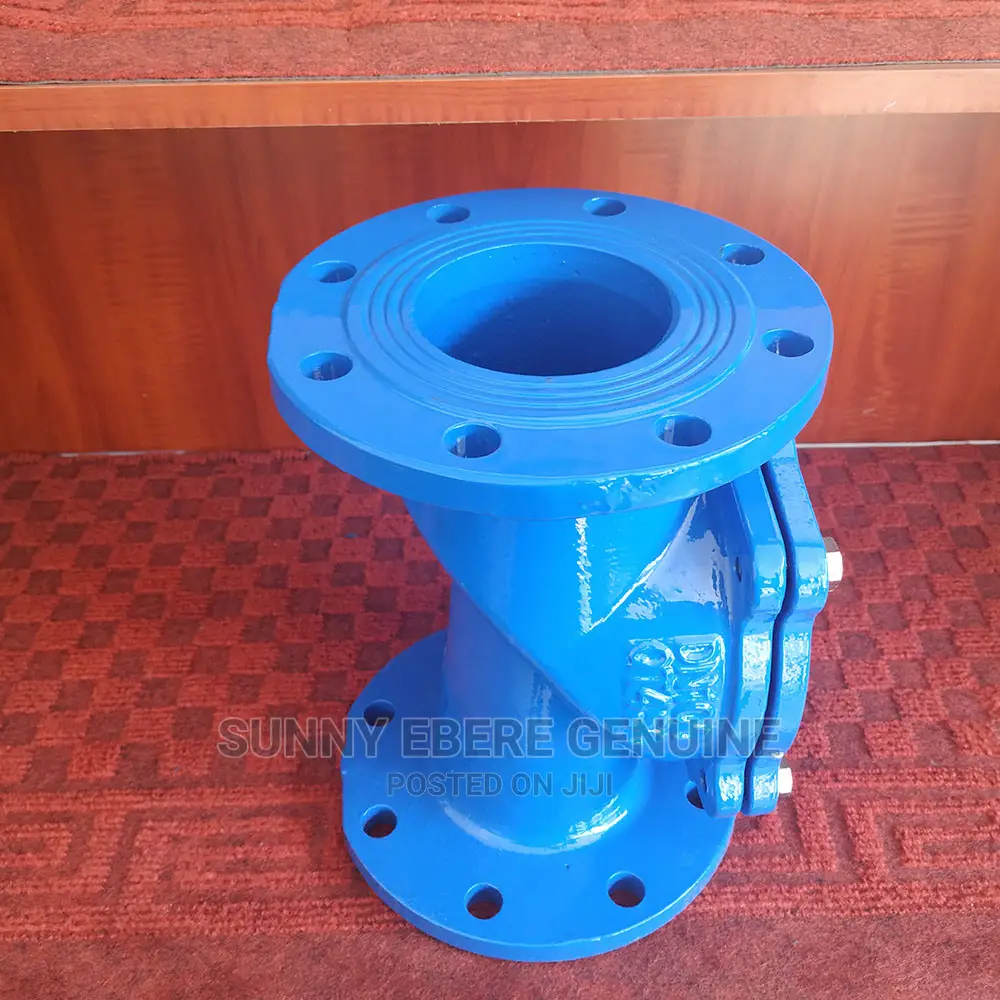 Ductile Iron BS5153 Non Return Valve Dn100,Pn16, NRV