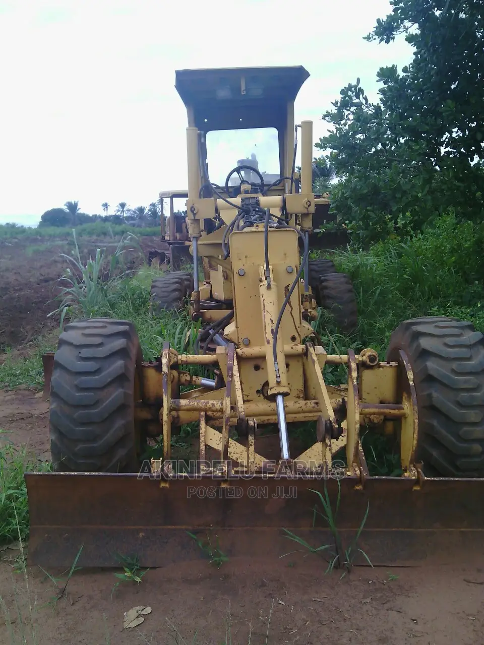 Oil Pipeline Bush Clearing