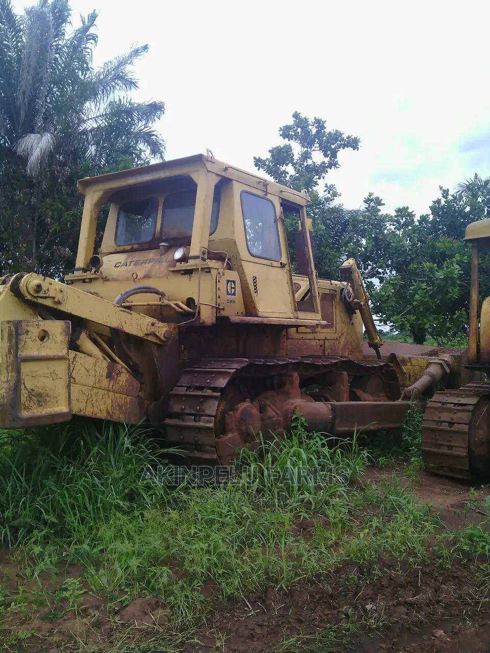 Oil Pipeline Bush Clearing